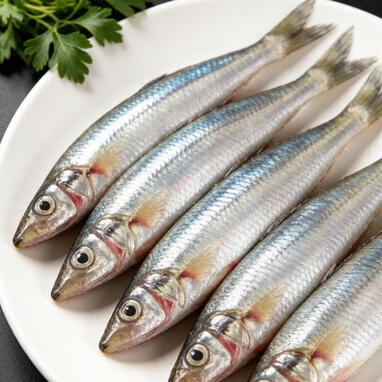 Extra Large Sardines - view 2