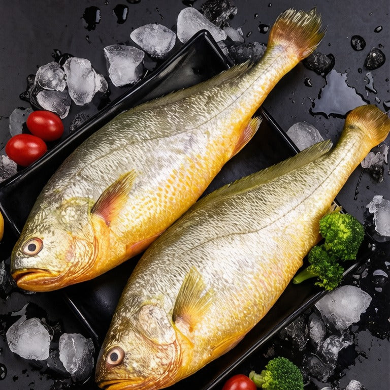 Wild Yellow Croaker - view 3